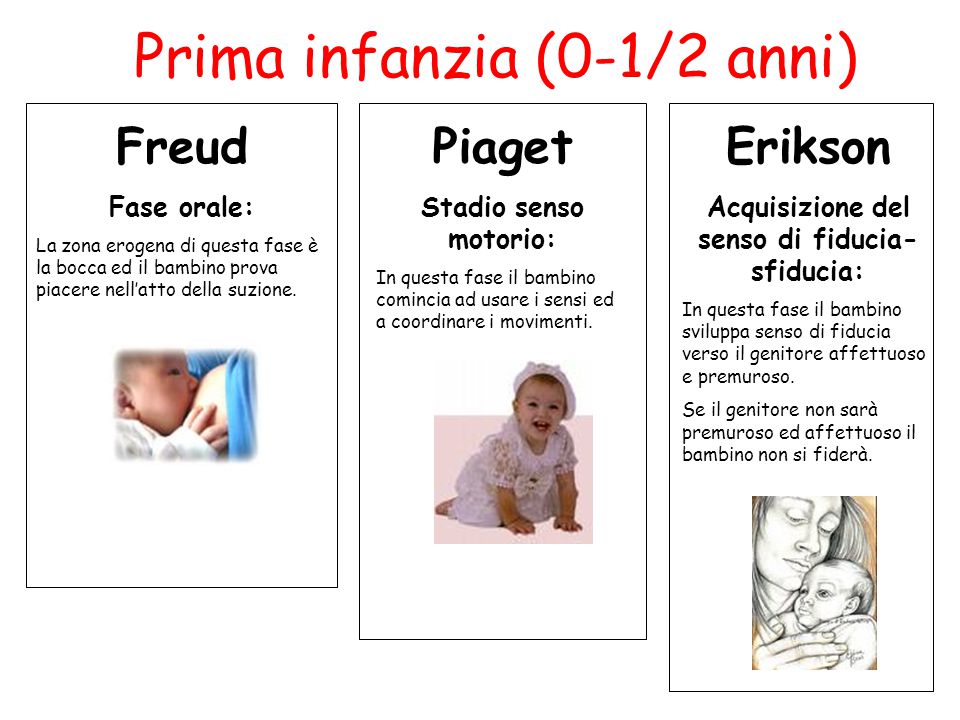 Confronto tra S. Freud E. Erikson J. Piaget. ppt scaricare